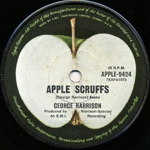 Harrison Apple Scruffs-1